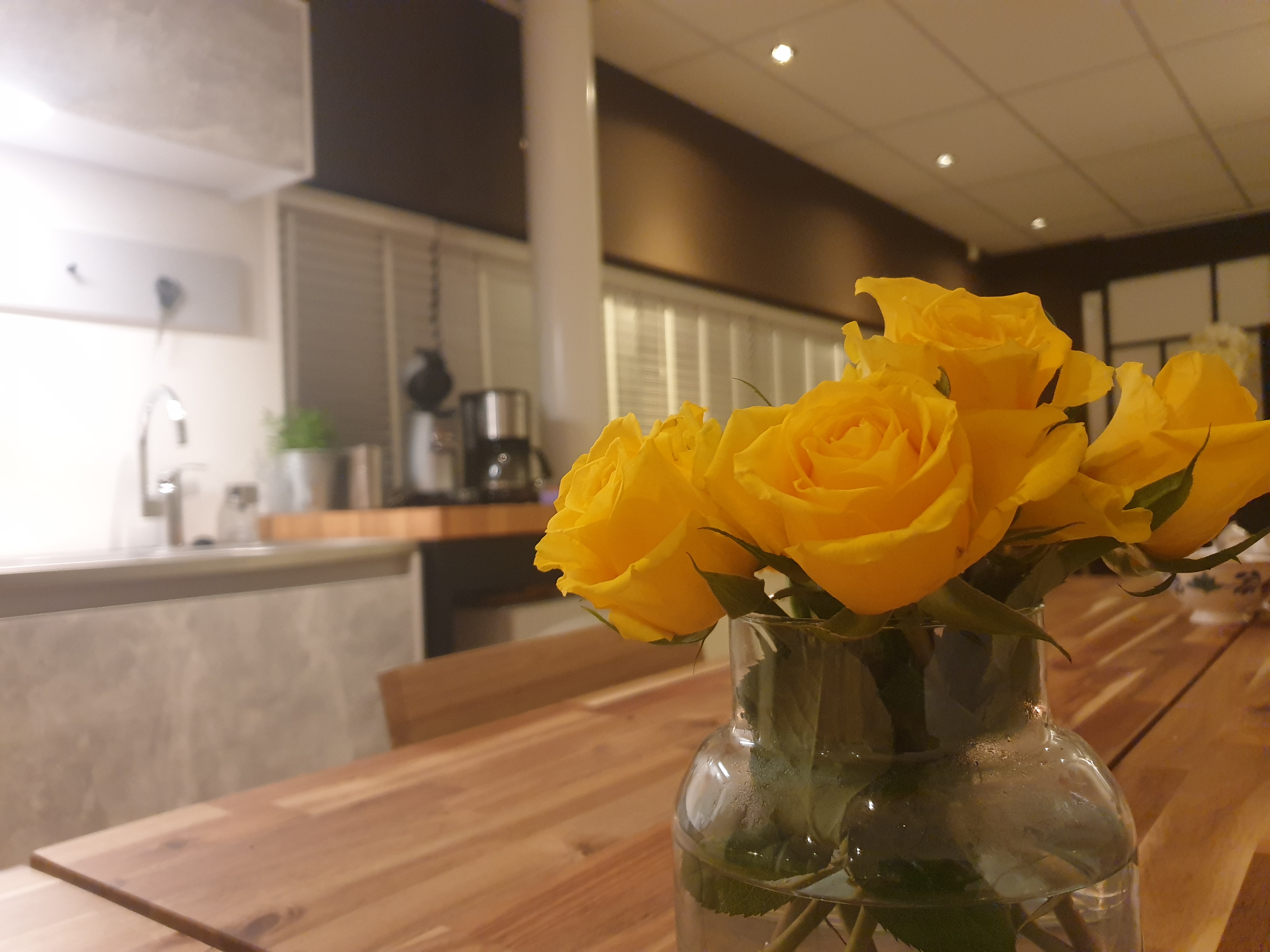 Afscheidskamer Boxtel / Dommelkamer 6